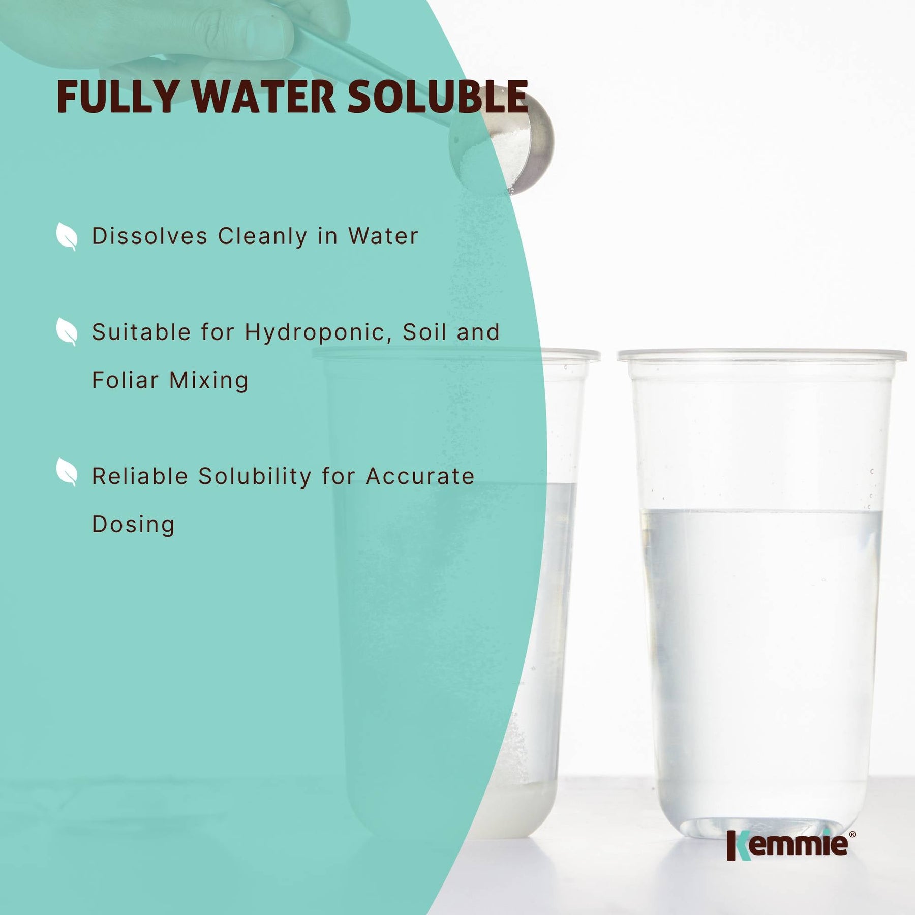 Kemmie Boric Acid Powder 99.9% Pure - Soluble Orthoboric Acid H3BO3